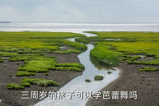 2一3歲幼兒舞蹈視頻,3～6 歲幼兒舞蹈視頻7...